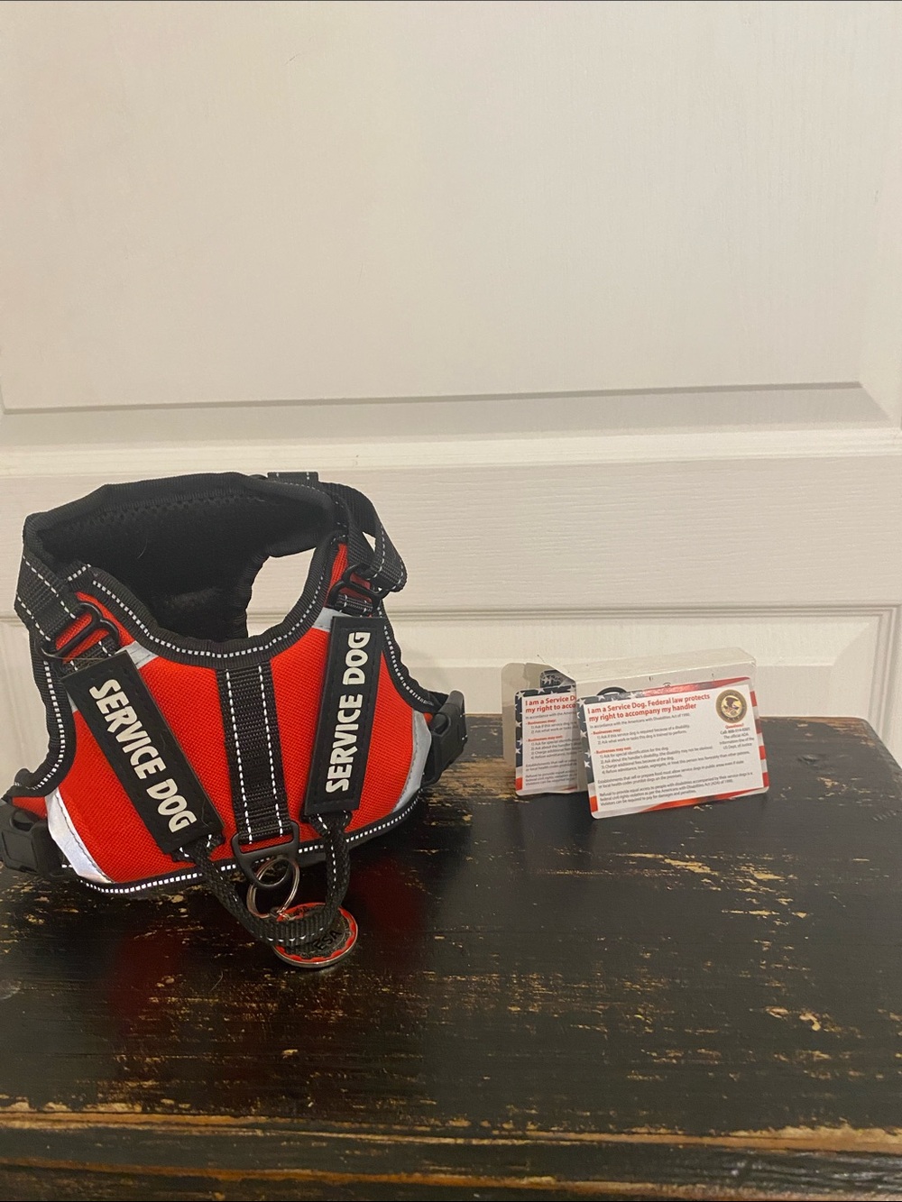 Brand New….. NEVER USED….XS Red and Black'Service Dog' Vest Harness and cards